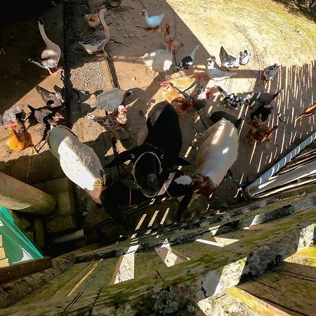Saira Recanto De Serra ムルング エクステリア 写真